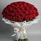 Букет 101 Красная роза Блэк Мэджик в Сокуре