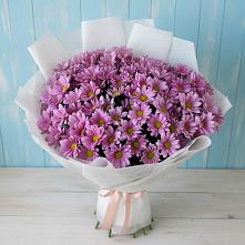 Букет цветов из:  Хризантемы в Сокуре