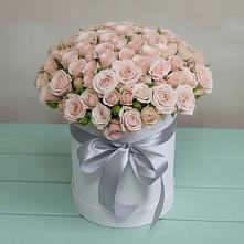 Цветочная композиция из Розы в шляпной коробке в Сокуре