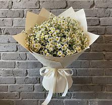 Букет цветов из:  Ромашки в Сокуре
