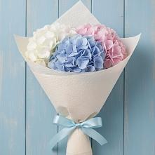 Букет цветов из:  Гортензия #REPLACE_PRED# Сокуре