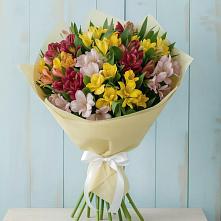 Букет цветов из:  Альстромерии в Сокуре