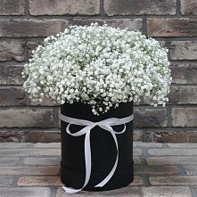 Цветочная композиция из Гипсофила в шляпной коробке в Сокуре