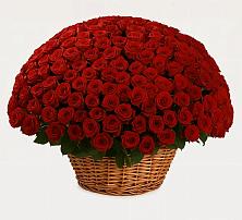 Премиум букет из: Розы в Сокуре